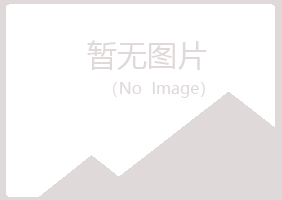 白银平川访枫制造有限公司